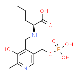 ChemSpider 2D Image | VITAMIN B6 COMPLEXED WITH 2-AMINO-PENTANOIC ACID | C13H21N2O7P