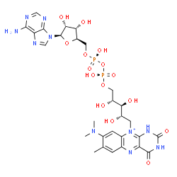 ChemSpider 2D Image | 10-[(2S,3S,4R)-5-{[(R)-{[(R)-{[(2R,3S,4R,5R)-5-(6-Amino-9H-purin-9-yl)-3,4-dihydroxytetrahydro-2-furanyl]methoxy}(hydroxy)phosphoryl]oxy}(hydroxy)phosphoryl]oxy}-2,3,4-trihydroxypentyl]-8-(dimethylami
no)-7-methyl-2,4-dioxo-1,2,3,4-tetrahydrobenzo[g]pteridin-10-ium | C28H37N10O15P2