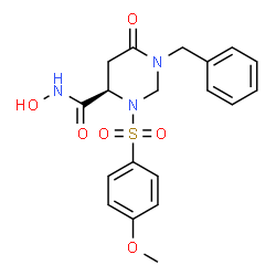 ChemSpider 2D Image | (4R)-1-Benzyl-N-hydroxy-3-[(4-methoxyphenyl)sulfonyl]-6-oxohexahydro-4-pyrimidinecarboxamide | C19H21N3O6S