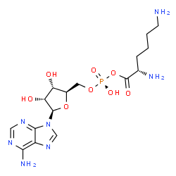 ChemSpider 2D Image | ADENOSINE-5'-[LYSYL-PHOSPHATE] | C16H26N7O8P
