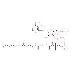 ChemSpider 2D Image | Octanoyl-coa | C29H50N7O17P3S
