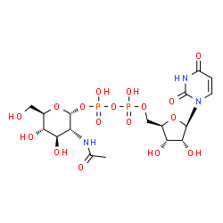 ChemSpider 2D Image | UDP-GlcNAc | C17H27N3O17P2