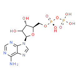 ChemSpider 2D Image | (2xi)-Adenosine 5'-(trihydrogen diphosphate) | C10H15N5O10P2