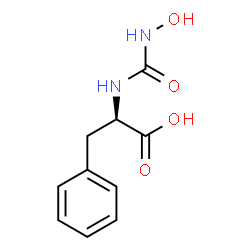ChemSpider 2D Image | N-(Hydroxycarbamoyl)-D-phenylalanine | C10H12N2O4