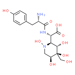 ChemSpider 2D Image | (2S)-[(2S,3S,4S,5S)-1,3,4,5-Tetrahydroxy-4-(hydroxymethyl)-2-piperidinyl](L-tyrosylamino)acetic acid | C17H25N3O9