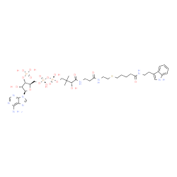 ChemSpider 2D Image | [(2R,3S,4R,5R)-5-(6-Amino-9H-purin-9-yl)-4-hydroxy-3-(phosphonooxy)tetrahydro-2-furanyl]methyl (18R)-18-hydroxy-1-(1H-indol-3-yl)-19,19-dimethyl-4,13,17-trioxo-9-thia-3,12,16-triazaicosan-20-yl dihydr
ogen diphosphate | C36H54N9O17P3S