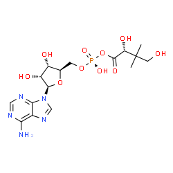ChemSpider 2D Image | 5'-O-[(R)-{[(2R)-2,4-Dihydroxy-3,3-dimethylbutanoyl]oxy}(hydroxy)phosphoryl]adenosine | C16H24N5O10P