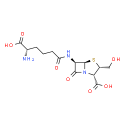 ChemSpider 2D Image | 6-(5-AMINO-5-CARBOXY-PENTANOYLAMINO)-3-HYDROXYMETHYL-7-OXO-4-THIA-1-AZA-BICYCLO[3.2.0]HEPTANE-2-CARBOXYLIC ACID | C13H19N3O7S