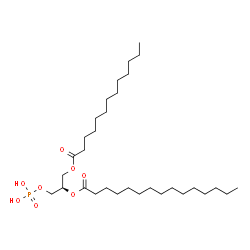 ChemSpider 2D Image | (2R)-1-(Phosphonooxy)-3-(tridecanoyloxy)-2-propanyl pentadecanoate | C31H61O8P
