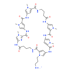 ChemSpider 2D Image | 3-[5,11,22,28,34-Pentamethyl-3,9,15,20,26,32,38,43-octaoxo-2,5,8,11,14,19,22,25,28,31,34,37,42,45,48-pentadecaazaheptacyclo[42.2.1.1~4,7~.1~10,13~.1~21,24~.1~27,30~.1~33,36~]dopentaconta-1(46),4(52),6
,10(51),12,21(50),23,27(49),29,33(48),35,44(47)-dodecaen-45-yl]-1-propanaminium | C45H55N16O8