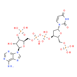 ChemSpider 2D Image | adenylate-3'-phosphate-[[2'-deoxy-uridine-5'-phosphate]-3'-phosphate] | C19H27N7O20P4