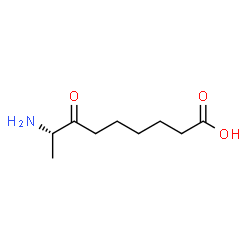 ChemSpider 2D Image | (8S)-8-Amino-7-oxononanoic acid | C9H17NO3