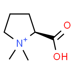 ChemSpider 2D Image | (S)-2-carboxy-1,1-dimethylpyrrolidinium | C7H14NO2