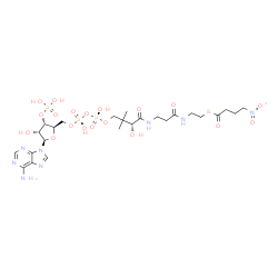 ChemSpider 2D Image | S-{(3R,5S,9R)-1-[(2R,3S,4R,5R)-5-(6-Amino-9H-purin-9-yl)-4-hydroxy-3-(phosphonooxy)tetrahydro-2-furanyl]-3,5,9-trihydroxy-8,8-dimethyl-3,5-dioxido-10,14-dioxo-2,4,6-trioxa-11,15-diaza-3lambda~5~,5lamb
da~5~-diphosphaheptadecan-17-yl} 4-nitrobutanethioate | C25H41N8O19P3S