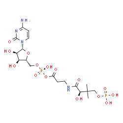 ChemSpider 2D Image | 5'-O-{(S)-Hydroxy[(3-{[(2R)-2-hydroxy-3,3-dimethyl-4-(phosphonooxy)butanoyl]amino}propanoyl)oxy]phosphoryl}cytidine | C18H30N4O15P2
