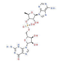 ChemSpider 2D Image | [(2R,3S,4R,5R)-5-(2-Amino-6-oxo-3,6-dihydro-9H-purin-9-yl)-3,4-dihydroxytetrahydro-2-furanyl]methyl (2R,3S,4R,5R)-5-(6-amino-9H-purin-9-yl)-4-hydroxy-2-methyltetrahydro-3-furanyl hydrogen (R)-phosphat
e | C20H25N10O10P