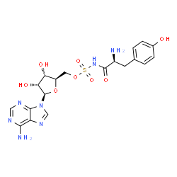 ChemSpider 2D Image | 5'-O-(L-Tyrosylsulfamoyl)adenosine | C19H23N7O8S