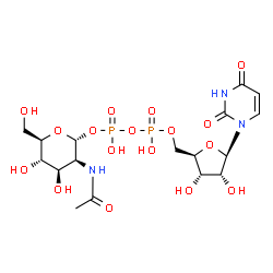 ChemSpider 2D Image | UDP-N-Acetylmannosamine | C17H27N3O17P2