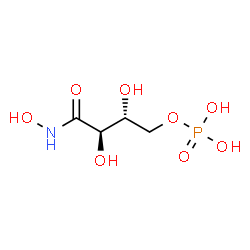 ChemSpider 2D Image | (2R,3R)-2,3-Dihydroxy-4-(hydroxyamino)-4-oxobutyl dihydrogen phosphate | C4H10NO8P