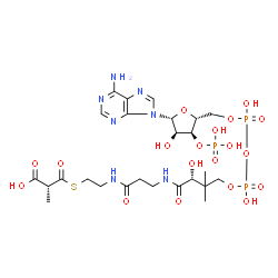 ChemSpider 2D Image | (R)-methylmalonyl-CoA | C25H40N7O19P3S