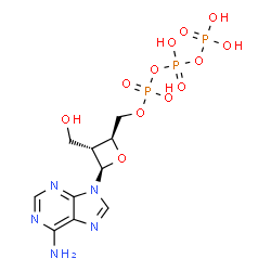 ChemSpider 2D Image | Triphosphoric acid, mono[[(2S,3R,4R)-4-(6-amino-9H-purin-9-yl)-3-(hydroxymethyl)-2-oxetanyl]methyl] ester | C10H16N5O12P3