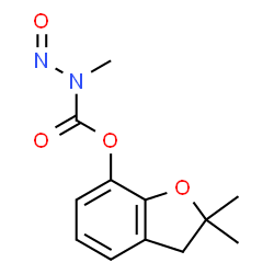 ChemSpider 2D Image | 2,2-Dimethyl-2,3-dihydro-1-benzofuran-7-yl methyl(nitroso)carbamate | C12H14N2O4