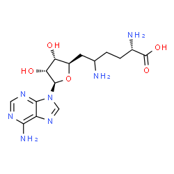 ChemSpider 2D Image | 5-Amino-6-[(2R,3S,4R,5R)-5-(6-amino-9H-purin-9-yl)-3,4-dihydroxytetrahydro-2-furanyl]-L-norleucine | C15H23N7O5