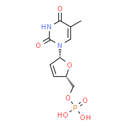 ChemSpider 2D Image | Cyclic 3',5'-thymidine monophosphate | C10H13N2O7P