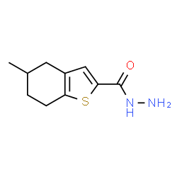 ChemSpider 2D Image | 5-Methyl-4,5,6,7-tetrahydro-1-benzothiophene-2-carbohydrazide | C10H14N2OS