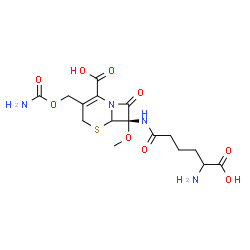 ChemSpider 2D Image | (7S)-7-[(5-Amino-5-carboxypentanoyl)amino]-3-[(carbamoyloxy)methyl]-7-methoxy-8-oxo-5-thia-1-azabicyclo[4.2.0]oct-2-ene-2-carboxylic acid | C16H22N4O9S