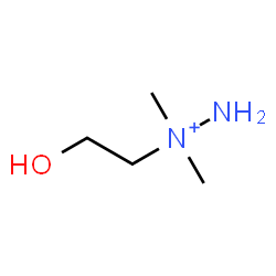 ChemSpider 2D Image | 1-(2-Hydroxyethyl)-1,1-dimethylhydrazinium | C4H13N2O