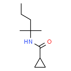 ChemSpider 2D Image | N-(2-Methyl-2-pentanyl)cyclopropanecarboxamide | C10H19NO