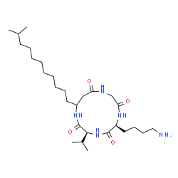 ChemSpider 2D Image | (3S,6S)-6-(4-Aminobutyl)-3-isopropyl-13-(10-methylundecyl)-1,4,7,10-tetraazacyclotridecane-2,5,8,11-tetrone | C28H53N5O4
