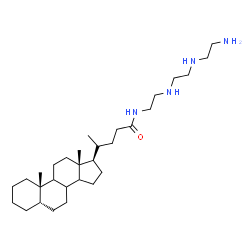 ChemSpider 2D Image | (5beta,8xi,9xi,14xi,17alpha,20S)-N-[2-({2-[(2-Aminoethyl)amino]ethyl}amino)ethyl]cholan-24-amide | C30H56N4O