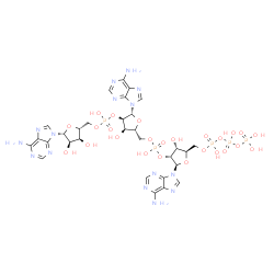ChemSpider 2D Image | [[(2R,3R,4R,5R)-5-(6-aminopurin-9-yl)-4-[[(2R,3R,4R,5R)-5-(6-aminopurin-9-yl)-4-[[(2R,3S,4R,5R)-5-(6-aminopurin-9-yl)-3,4-dihydroxy-tetrahydrofuran-2-yl]methoxy-hydroxy-phosphoryl]oxy-3-hydroxy-tetrahydrofuran-2-yl]methoxy-hydroxy-phosphoryl]oxy-3-hydroxy-tetrahydrofuran-2-yl]methoxy-hydroxy-phosphoryl] phosphono hydrogen phosphate | C30H40N15O25P5
