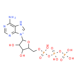 ChemSpider 2D Image | 6-Amino-9-[5-O-(hydroxy{[hydroxy(phosphonooxy)phosphoryl]oxy}phosphoryl)pentofuranosyl]-7H-purin-9-ium | C10H17N5O13P3