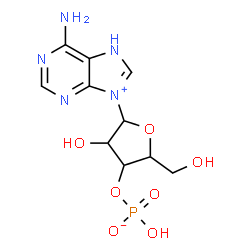 ChemSpider 2D Image | 6-Amino-9-[3-O-(hydroxyphosphinato)pentofuranosyl]-7H-purin-9-ium | C10H14N5O7P