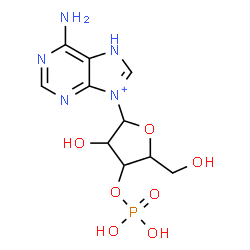 ChemSpider 2D Image | 6-Amino-9-(3-O-phosphonopentofuranosyl)-7H-purin-9-ium | C10H15N5O7P