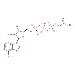 ChemSpider 2D Image | thiophosphoric acid o-((adenosyl-phospho)phospho)-s-acetamidyl-diester | C12H19N6O13P3S