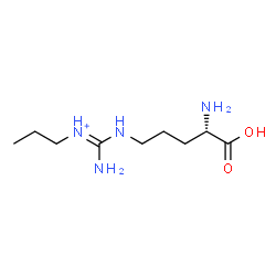 ChemSpider 2D Image | (E)-Amino{[(4S)-4-amino-4-carboxybutyl]amino}-N-propylmethaniminium | C9H21N4O2