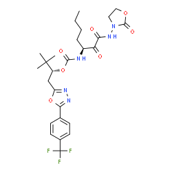 ChemSpider 2D Image | (1R)-2,2-DIMETHYL-1-({5-[4-(TRIFLUOROMETHYL)PHENYL]-1,3,4-OXADIAZOL-2-YL}METHYL)PROPYL (1S)-1-{OXO[(2-OXO-1,3-OXAZOLIDIN-3-YL)AMINO]ACETYL}PENTYLCARBAMATE | C26H32F3N5O7
