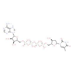 ChemSpider 2D Image | [(2R,3S,4R,5R)-5-(6-amino-7H-purin-9-ium-9-yl)-3,4-dihydroxy-tetrahydrofuran-2-yl]methyl [[[[(2R,3S,5R)-3-hydroxy-5-(5-methyl-2,4-dioxo-pyrimidin-1-yl)tetrahydrofuran-2-yl]methoxy-oxido-phosphoryl]oxy-oxido-phosphoryl]oxy-oxido-phosphoryl] phosphate | C20H26N7O20P4