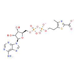 ChemSpider 2D Image | 5'-O-[({[2-(2-Carboxylato-4-methyl-1,3-thiazol-5-yl)ethoxy]phosphinato}oxy)phosphinato]adenosine | C17H19N6O12P2S