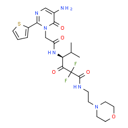 ChemSpider 2D Image | (4S)-4-({[5-Amino-6-oxo-2-(2-thienyl)-1(6H)-pyrimidinyl]acetyl}amino)-2,2-difluoro-5-methyl-N-[2-(4-morpholinyl)ethyl]-3-oxohexanamide | C23H30F2N6O5S