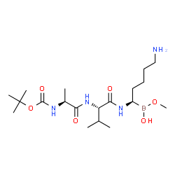ChemSpider 2D Image | N-{[(2-Methyl-2-propanyl)oxy]carbonyl}-L-alanyl-N-{(1R)-5-amino-1-[hydroxy(methoxy)boryl]pentyl}-L-valinamide | C19H39BN4O6