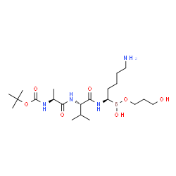 ChemSpider 2D Image | N-{[(2-Methyl-2-propanyl)oxy]carbonyl}-L-alanyl-N-{(1R)-5-amino-1-[hydroxy(3-hydroxypropoxy)boryl]pentyl}-L-valinamide | C21H43BN4O7