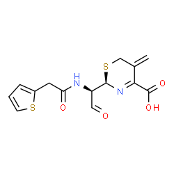ChemSpider 2D Image | 5-METHYLENE-2-[2-OXO-1-(2-THIOPHEN-2-YL-ACETYLAMINO)-ETHYL]-5,6-DIHYDRO-2H-[1,3]THIAZINE-4-CARBOXYLIC ACID | C14H14N2O4S2