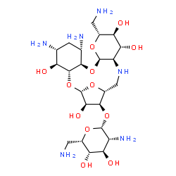 ChemSpider 2D Image | (1S,3R,4S,5R,7S,8R,10R,12R,13S,14R,15R,18R,19S,20R)-5,7-Diamino-12-(aminomethyl)-4,13,14,20-tetrahydroxy-2,9,11,21-tetraoxa-16-azatetracyclo[16.2.1.0~3,8~.0~10,15~]henicos-19-yl 2,6-diamino-2,6-dideox
y-beta-L-idopyranoside | C23H44N6O12