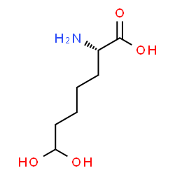 ChemSpider 2D Image | (S)-2-AMINO-7,7-DIHYDROXYHEPTANOIC ACID | C7H15NO4
