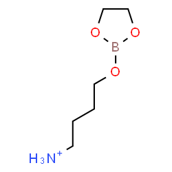 ChemSpider 2D Image | 4-(1,3,2-Dioxaborolan-2-yloxy)-1-butanaminium | C6H15BNO3